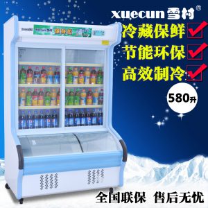 Tủ đông - mát Xuecuns HY-1200C 580 lít