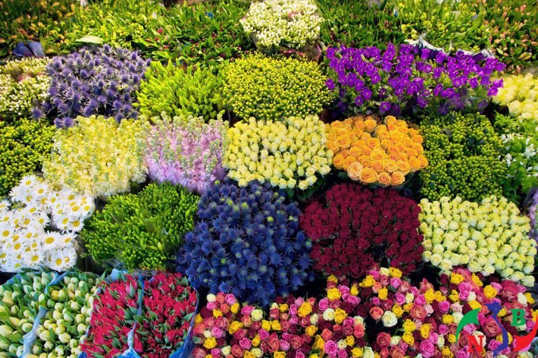 Kho lạnh bảo quản hoa tươi – giải pháp hoàn hảo cho thị trường hoa