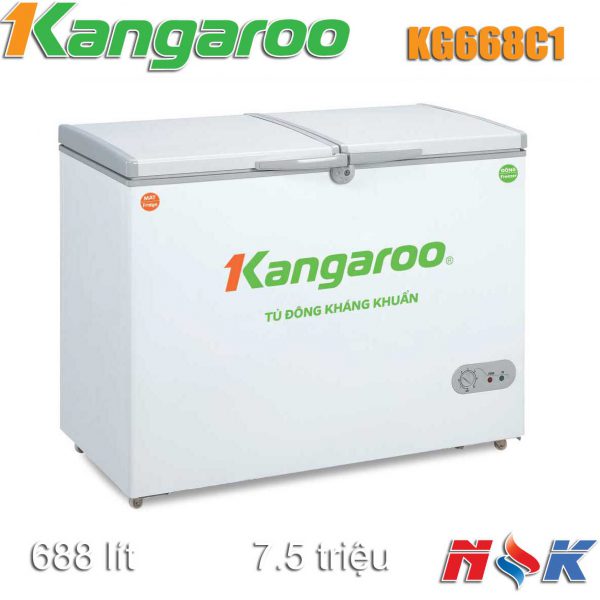Tủ đông kháng khuẩn Kangaroo KG668C1 668 lít