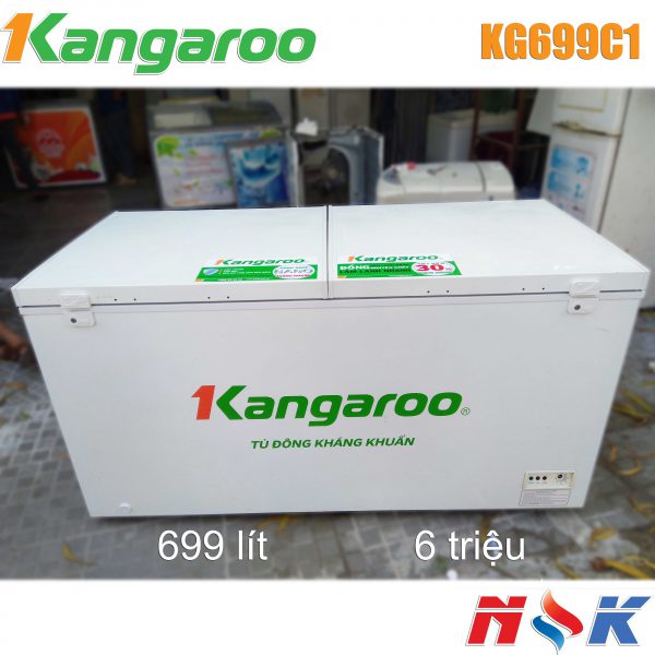 Tủ đông kháng khuẩn Kangaroo KG699C1 699 lít