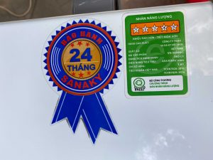 Tủ đông Sanaky VH-5699W1 365 lít