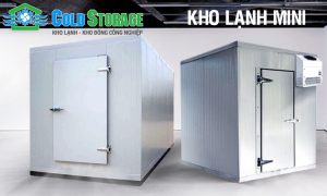 Thi công lắp đặt kho lạnh mini giá rẻ TP.HCM